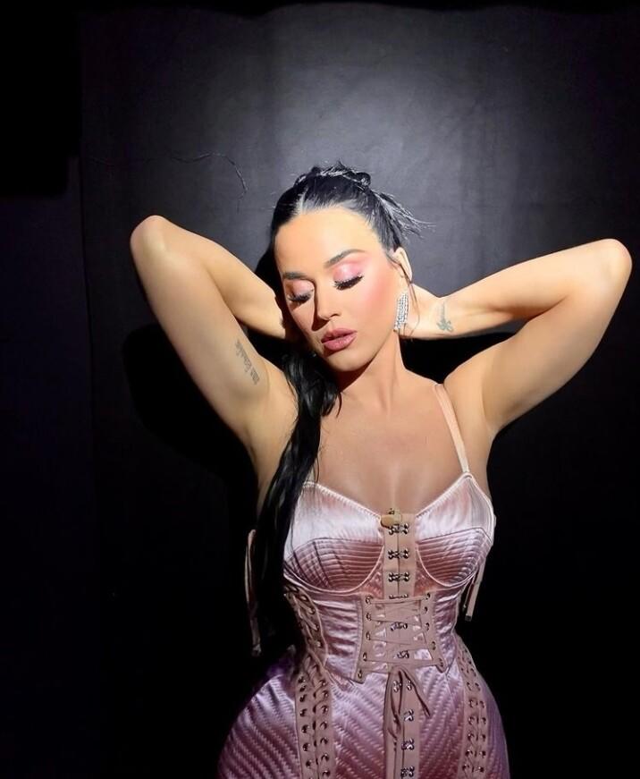 Katy Perry / katyperry Nackte OnlyFans Leaks 1