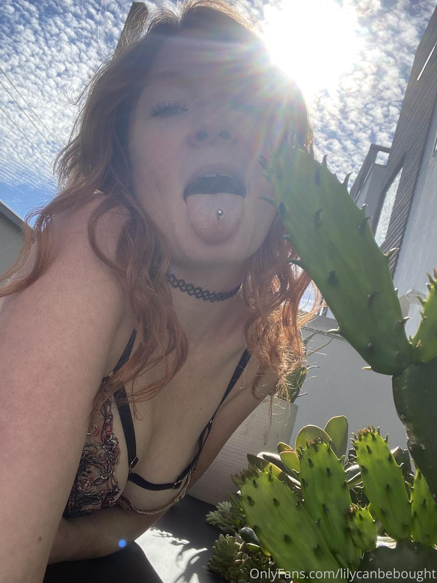 life_w_lilyana / lily_ana Nackte OnlyFans Leaks 1