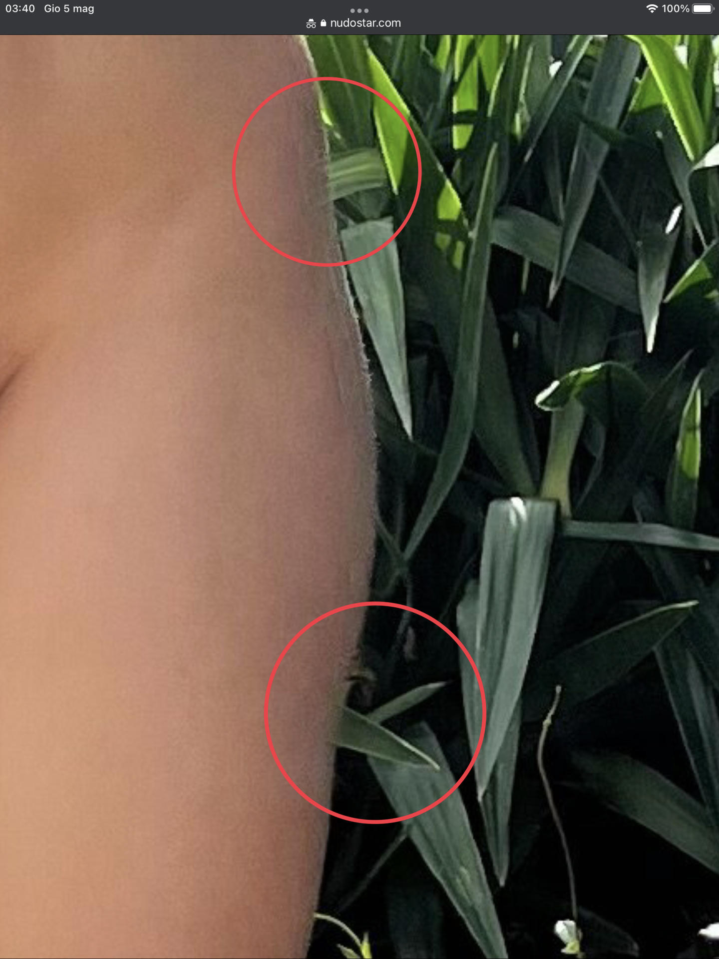 Stefania Ferrario / stefaniaferrario Nackte OnlyFans Leaks 1