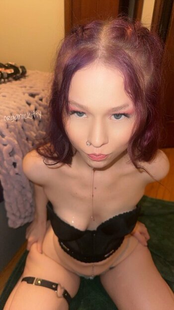 organickitty / thisisnotbiblestudy Nackt-Leaks OnlyFans Foto 15