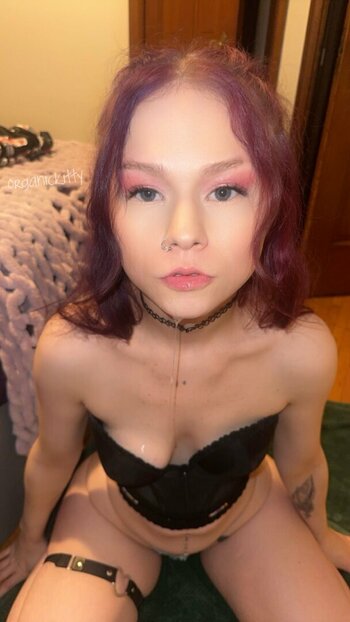 organickitty / thisisnotbiblestudy Nackt-Leaks OnlyFans Foto 19