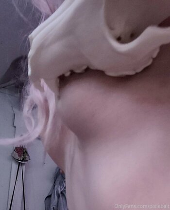 pixiebait Nackt-Leaks Foto 15