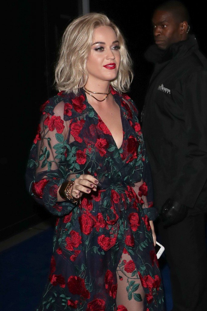 Katy Perry Sexy 8 thefappening.so