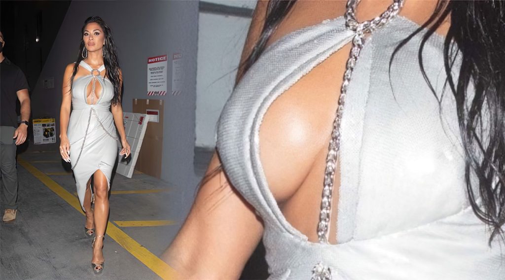 Nicole Scherzinger heiße Brüste