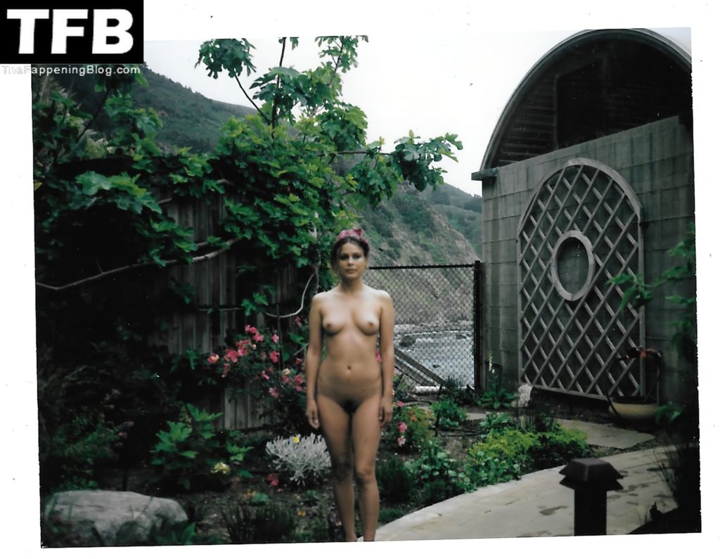 Nathalie Kelley Nude